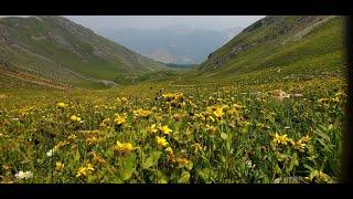 Columbine Lake Trail #509