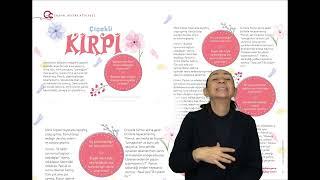 Aile Çocuk Dergisi 8. Sayı/Sosyal Beceri Atölyesi- Çiçekli Kirpi (İşaret Dili)