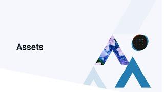Assets: Digital Asset Management with Widen