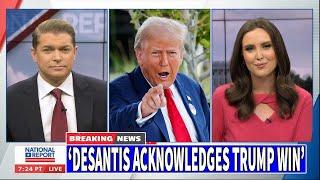 The National Report 10/23/24 FULL | BREAKING NEWS TRUMP October 23, 2024