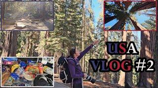 USA Vlog #2 Sequoia & Kings Canyon Nationalpark | Mammutbäume | Großeinkauf | Kalifornien