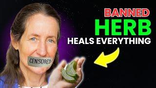 Barbara O'Neill Reveals the Banned Herb That Cures Everything – You Won’t Believe Its Power!