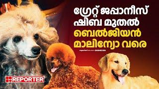 ലോകത്തെ അപൂർവയിനം നായ്ക്കളുടെ പ്രദർശനവുമായി കെന്നൽ ക്ലബ് | Thrissur