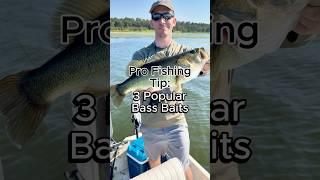 Three of the Best Bass Fishing Baits #bassfishing #fishing #fishingtips #largemouthbass