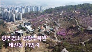 우리나라 유명한 수목원 이은섭부동산이 추천하는 상림수목원 가족 연인 반려동물과 함께 힐링