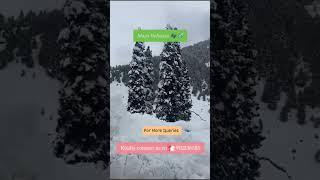 Best Agency in Pune || Maya Holidays!"️️ 9112136585