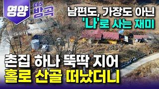 [경북 영양] '드디어 찾은 인생 사는 재미' 빠르게 변하는 도시가 싫어 가족도, 사업도 다 내려놓고 홀로 화전민 집 한 채 지어 산골로 떠난 남자｜#한국기행 #방방곡곡