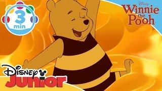 The Mini Adventures of Winnie the Pooh | The Honey Song | Disney Junior UK