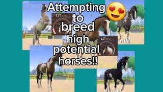 ATTEMPTING TO BREED HIGH POTENTIAL HORSES!!!! *equestrian the game*