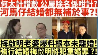 何太計錯數 公屋除名係咁計?|河馬仔結婚都無補於事?|何太出手投訴邵子風網台|井仔點睇 #何太 #東張西望何伯 #何太無糧軍師