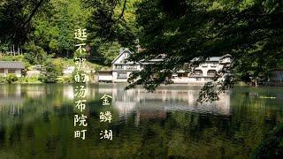 可愛的青蛙寺, 別府地獄溫泉, 悠閒的由布院湯之坪街道