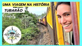 TUBARÃO - T1 - Ep 14 - UMA VIAGEM NA HISTÓRIA