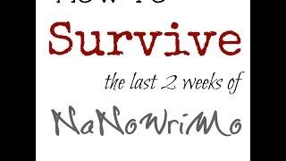 How to Survive the LAST TWO WEEKS of NaNoWriMo || 30 Sec or more writing tips