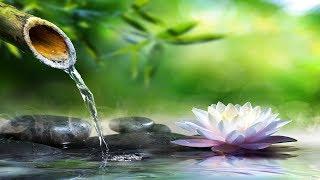 Relaxing Music with Soothing Water Sound