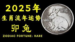 2025年属兔人事业财运双丰收！事业节节高升，财富源源不断，生肖兔的小人陷阱如何识破？大运解析全方位揭秘，不容错过！