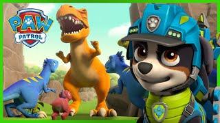 PAW Patrol Pup Rex Saves the Dino Wilds and MORE!  | PAW Patrol | Cartoons for Kids Compilation