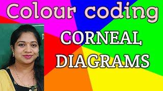 Colour coding for ophthalmic diagrams- Colour coding-Corneal diagram/Colour coding for corneal ulcer