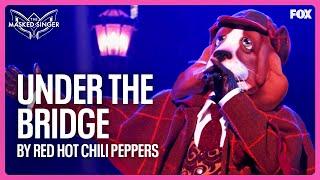 Sherlock Hound SIZZLES With "Under The Bridge" By Red Hot Chili Peppers  | Season 12