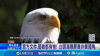 官方文件.國徽都有牠! 白頭海鵰原竟非美國鳥 248年才認證! 白頭海鵰正式獲封"美國國鳥"│記者 黃瓊慧 │全球關鍵字20250102│三立iNEWS