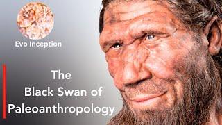 Discovery of Neanderthals And The Quintessential Scientific Other | Evo Inception Documentary