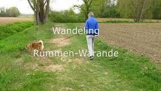 Rummen - Warande