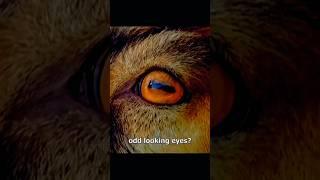 Naruto goat amv edit  edit in mobile #anime #amv #edit #kynox #naruto $