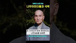 극락세계는 방편이 아닙니다 나무아미타불 염불과 극락세계 #청화스님