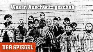 Holocaust: Was in Auschwitz geschah | DER SPIEGEL