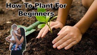 How To Plant For Beginners