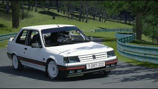 ASSETTO CORSA / PEUGEOT 309 GTi 16v Ph.2 Gr.N 1991 / BERGRENNEN PRESCOTT / 4K