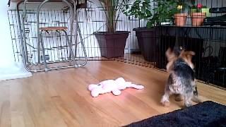 Keyra and Leah Playing