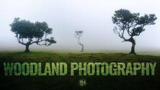 Woodland Photography in Madeira - Tips and Tricks