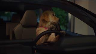 Caught | Subaru Dog Tested TV Commercial