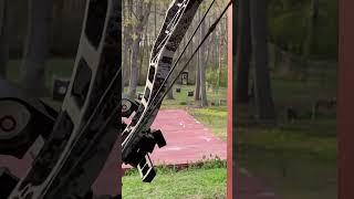 2023 Obsession Bow XR6 100 yd Group w/Gene - Bowhunter Life