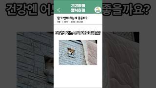 환기 언제 하는게 좋을까? | 오늘의 건강 꿀팁! #고양이 #유머