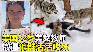 作死：美国32岁美女教师“不顾阻拦”惨遭狼群活活分尸，救援人员彻底被吓坏#动物  #top10  #動物 #災難 #動物 #美国 #科普#世界之最 #脑洞大开