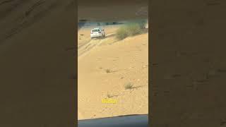 Dubai Desert Safari | Arabian Adventure | Dubai | UAE | Zulhas Kabir