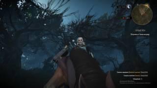 The Witcher Wild Hunt funny horse