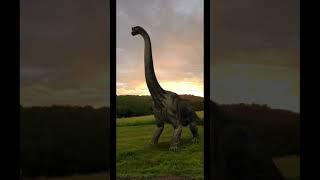 Real Jurassic Park: Brachiosaurs In Incredible Sunset 