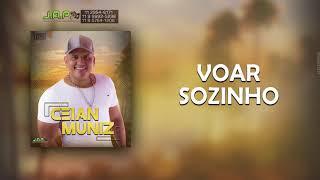 Ceian Muniz - Voar Sozinho