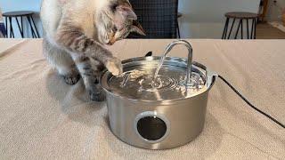 How to set up this cat drinking fountain! Demo and review of the FOFNON Cat Water Fountain