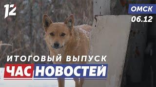 Бездомные собаки бросаются на людей / Новая схема движения / Усиление ветра. Новости Омска