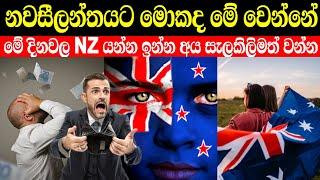 නවසීලන්තයට මොකද මේ උනේ| New zealand යන්න ඉන්න අය දැනුවත් වන්න