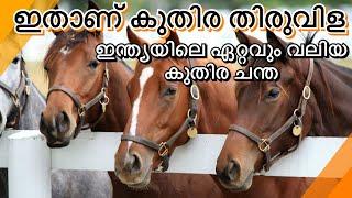 INDIA’s BIGGEST HORSE & CATTLE MARKET | വർഷത്തിൽ ഒരിക്കൽ മാത്രമുള്ള അന്തിയൂർ കുതിര ചന്ത|