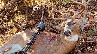 Pressured Public Land Bucks|Traditional Bowhunting