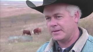 Ranching Perspectives