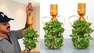 Amazing hanging plants ideas // Indoor hanging plants ideas // Planters making at home