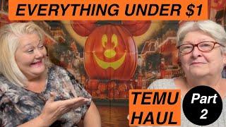 TEMU UNDER A DOLLAR HAUL // PART 2