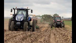 Potato Harvest 2021 - Hafner Seed Farms