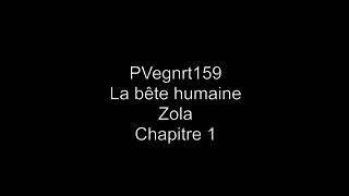 La bête Humaine - Zola - Partie 1